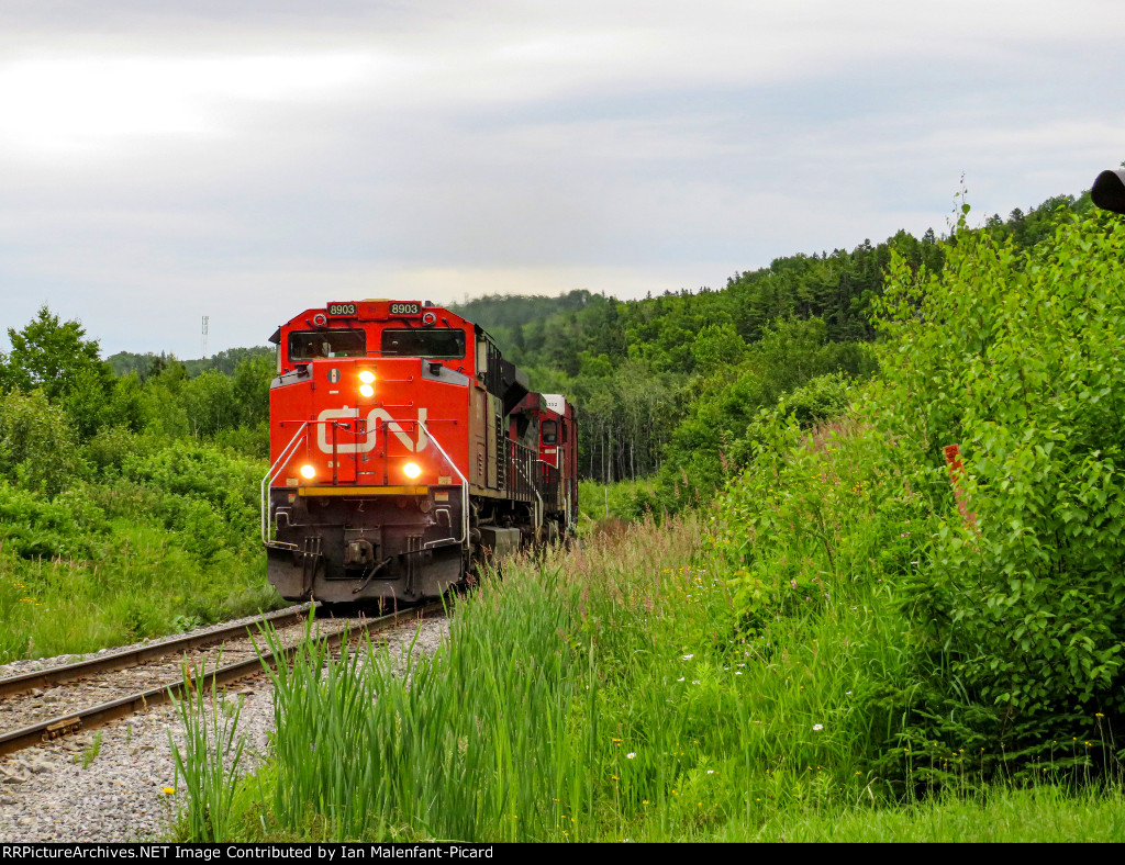 CN 8903 leads 403 at Cassista Road